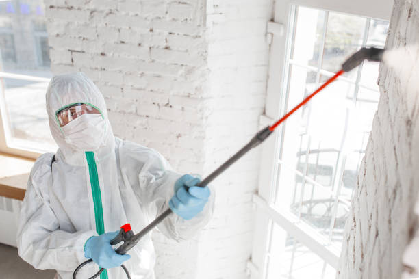 Best Crawl Space Mold Remediation  in Plymouth, MN