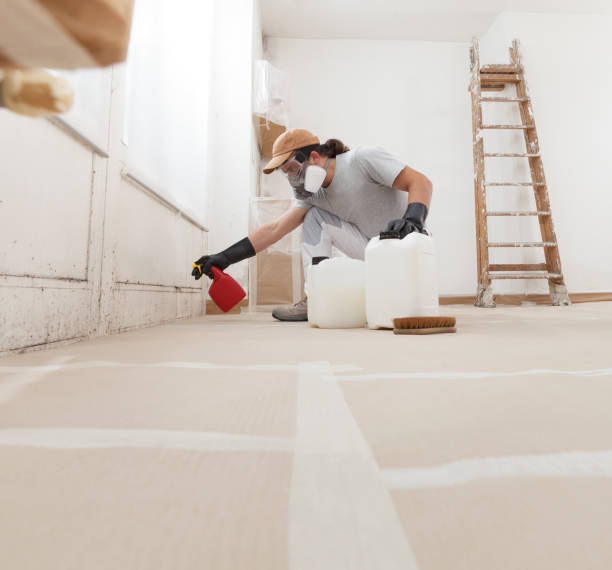 Best Dehumidification Services  in Plymouth, MN