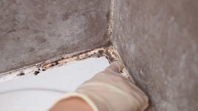 Best Indoor Air Quality Assessment  in Plymouth, MN